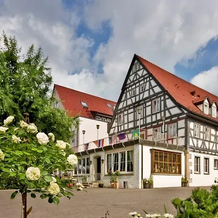 Landgasthof Hirsch レムスハルデン