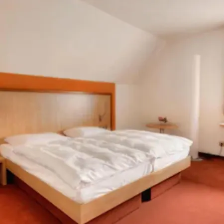 ホテル Landgasthof Hirsch 3*